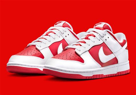 alle nike dunks|nike dunks adult.